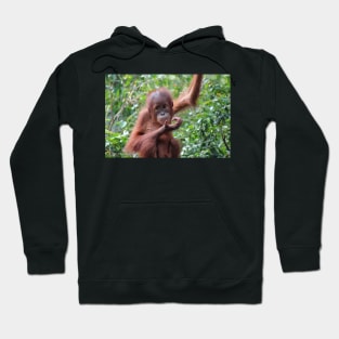 Lost In Thought Hoodie